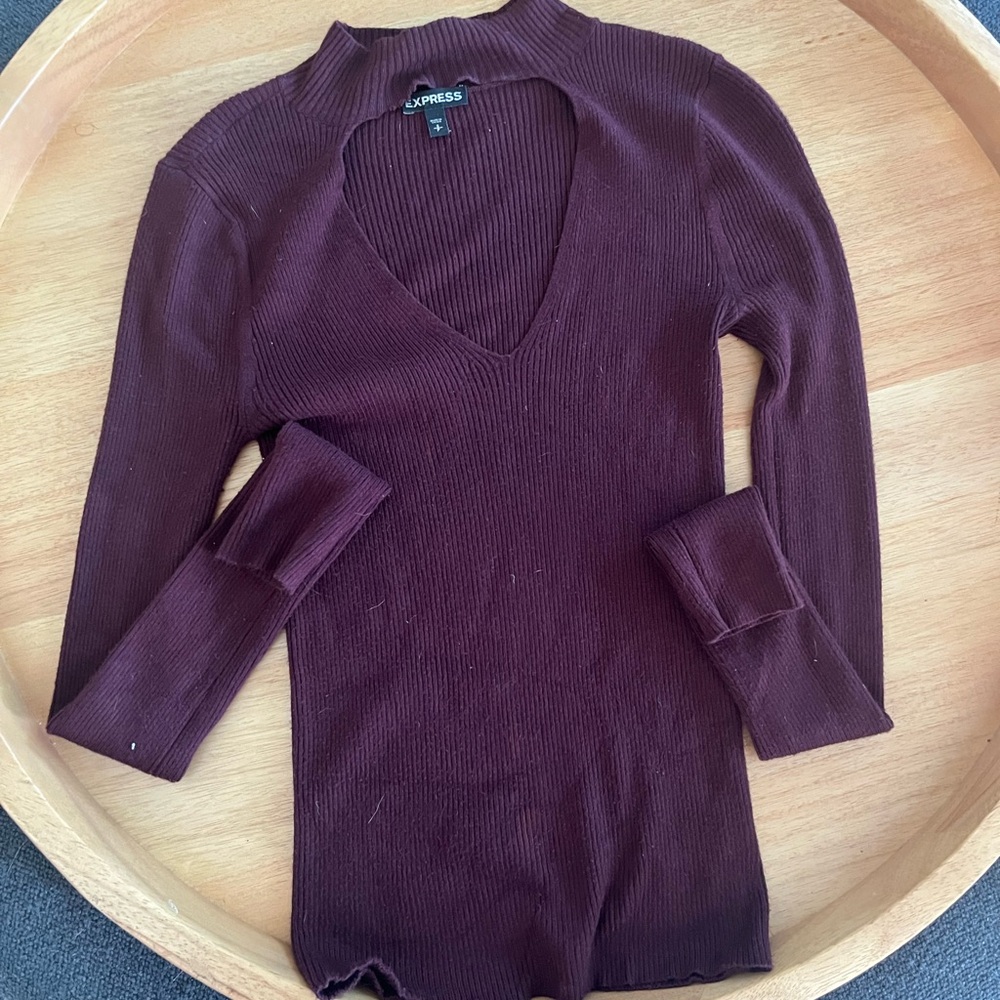 Express Women's Deep V-Neck Sweater - Dark Brown
